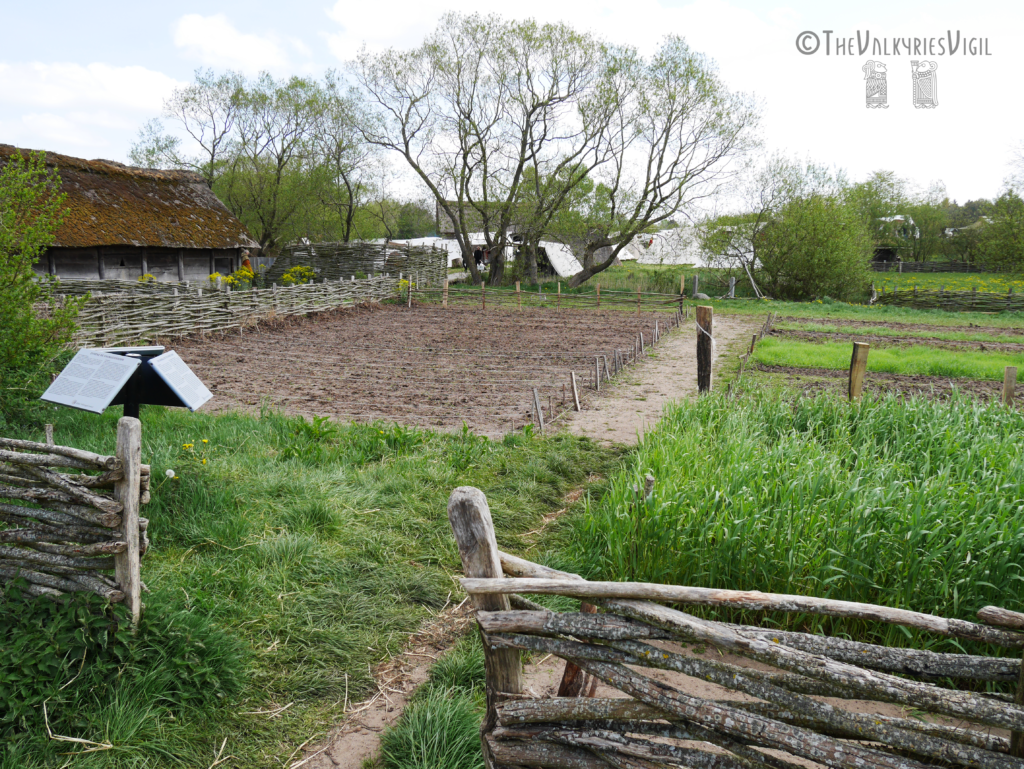 Ribe Viking Market (Dinamarca) - Reconstrucción granja vikinga